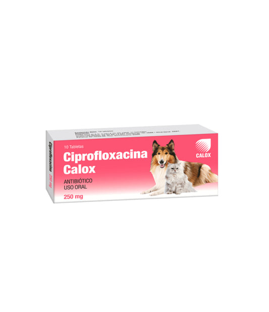 Ciprofloxacina Calox  250mg